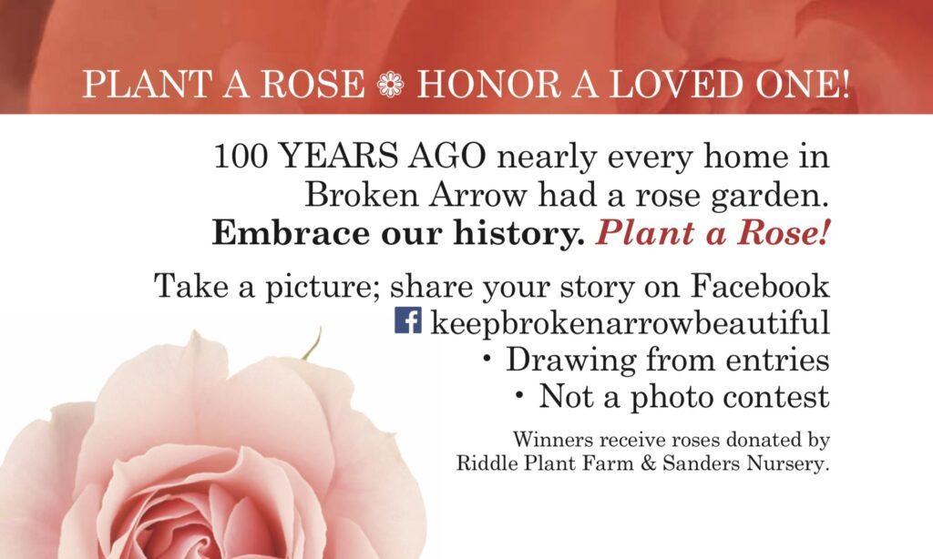 Plant a Rose. 100 year tradition. 2022